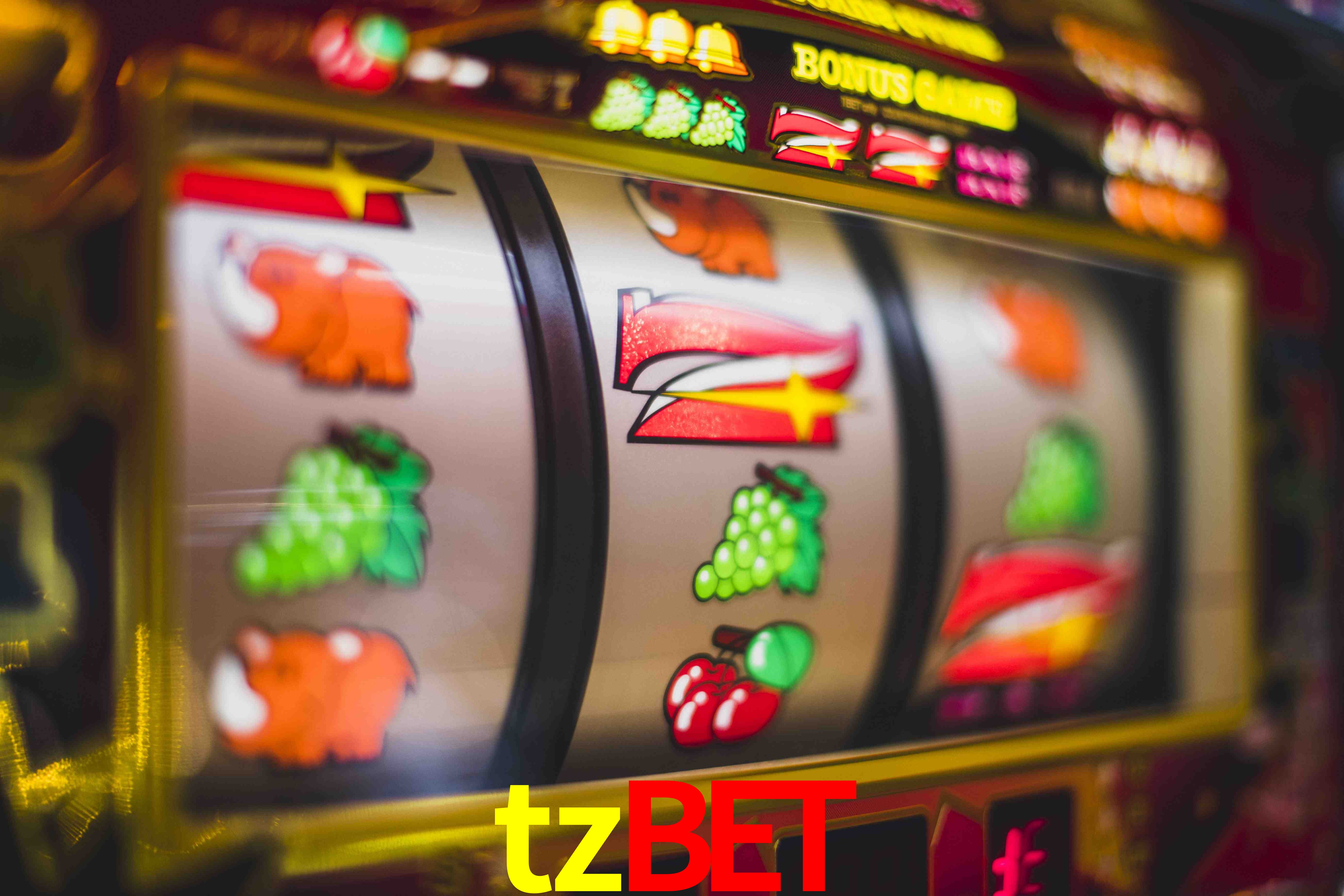 Football Betting tzbet